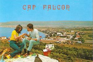 CAP FALCON (1085)
